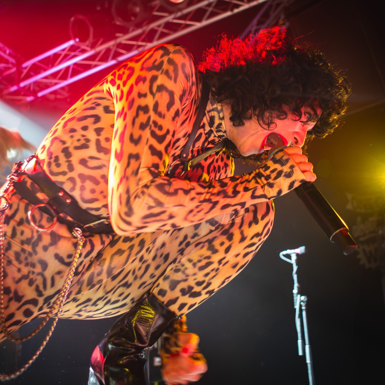 Cecilia Boström of the band The Baboon Show performing at Den Atelier in Luxembourg